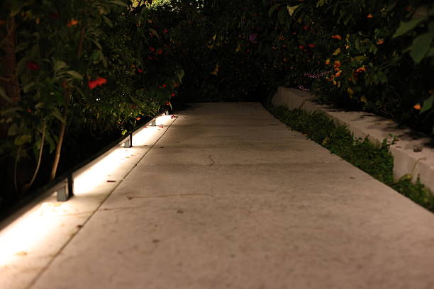 istock Monte Carlo park alley, Monaco night view 2220288072