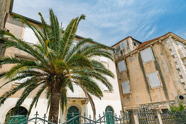 A vibrant photo of a traditional stone house with white wooden shutters and a lush palm tree in front, located on the island of Brac, Croatia. The Mediterranean architecture and bright summer sky capture the peaceful charm of coastal village life in the Dalmatian region.