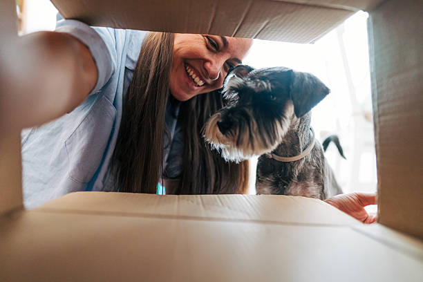 istock Woman and her miniature schnauzer looking inside a cardboard box 2220297055