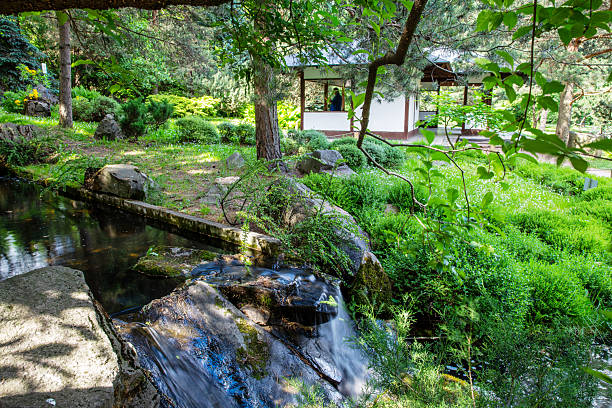 istock aWE VIEW IN Japanese garden in Moscow 2220297892