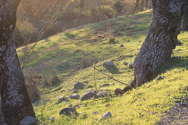 Sierra Morena Natural Park, Andujar, Spain – 2015
