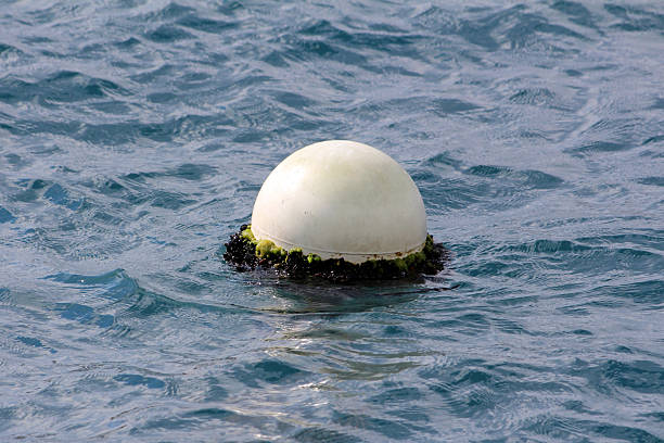 Round white mooring buoy, partially covered with green algae and barnacles, floats on gently rippling blue water, marking a mooring spot in a calm sea or lake on a sunny day