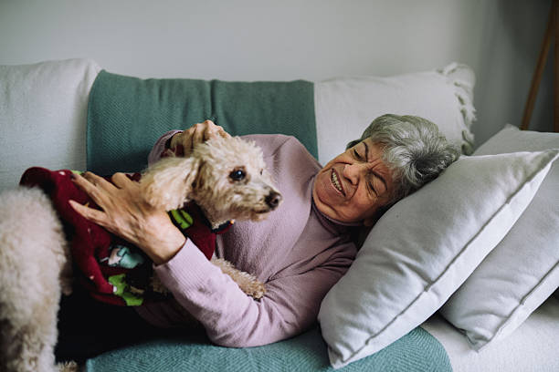 istock Senior woman resting peacefully on sofa 2220314027