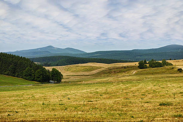 Rolling farmlands stretch towards a backdrop of forested mountains under a partly cloudy sky. A serene and picturesque setting of a rural landscape captures the peace and openness of the countryside.