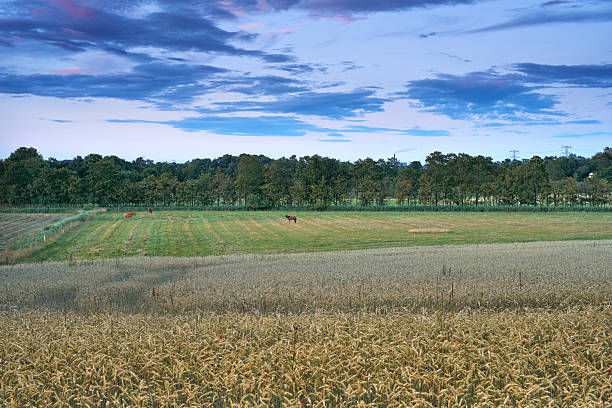 In a picturesque rural landscape, a charming scene with a haystack sits quietly beside quaint little houses