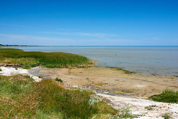 istock Secluded Danish Coastal Marshland with Calm Blue Waters and Vegetation 2220319608