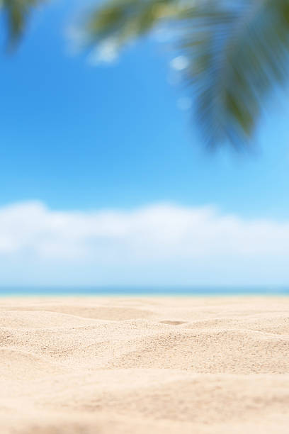 istock Empty tropical sand beach with palm leaves and sunny blue sky abstract background 2220329466