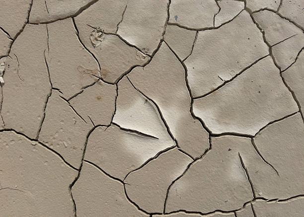 Cracked dry earth during a drought, showing the effects of extreme heat and water shortage in an arid region. Climate change and environmental degradation concept.