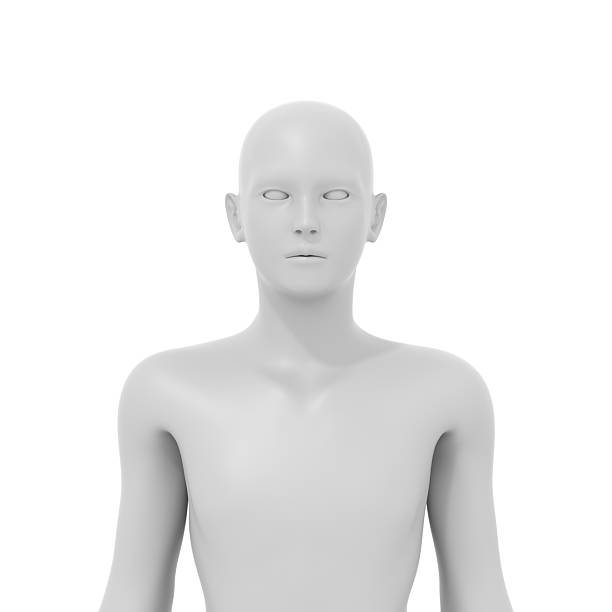 istock 3d rendered illustration of a human body 2220343016