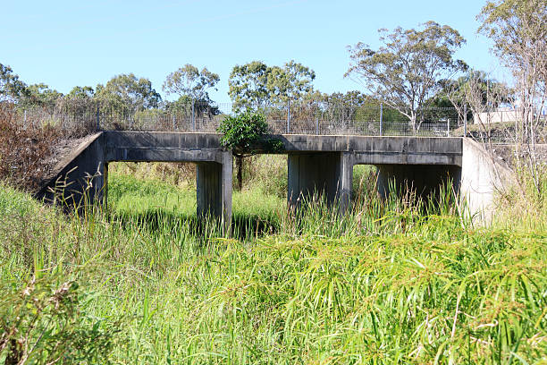 istock Bridge road over an overgrown creek surrounded by eucalyptus trees 2220343184