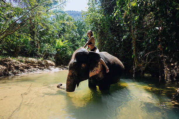 woman enjoys the refreshing water while riding on an elephant in a lush jungle river. Surrounded by greenery, this tranquil moment highlights the bond between humans and wildlife.