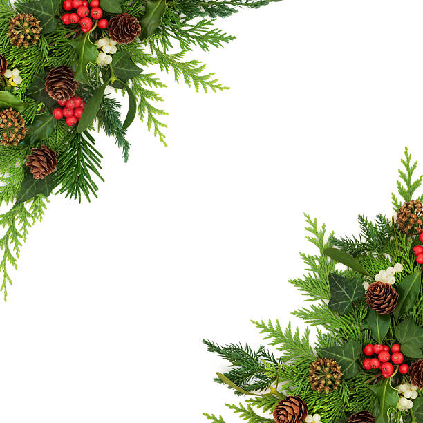 istock Christmas Winter Nature Border Background 2220352764