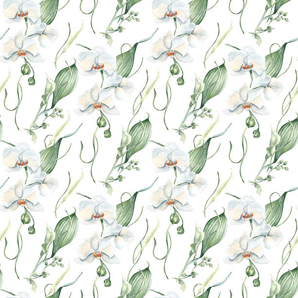 istock Elegant botanical seamless pattern white orchids, unopened lily flowers and leaves neutral colors isolated. White blooms watercolor repeat background hand drawn for wedding decor, gentle nature print. 2220363272