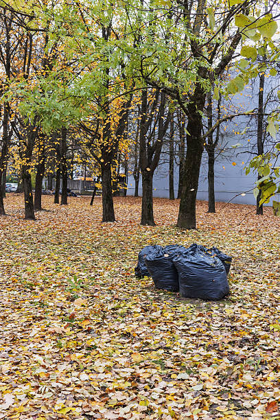 istock Black plastic garbage bags among fallen leaves 2220364311