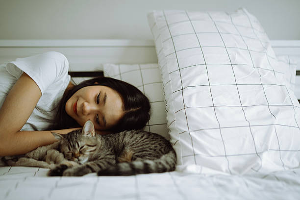 istock Asian Woman Lying on Side Smiling Warmly While Playing with Sleeping Cat on Bed. 2220365873