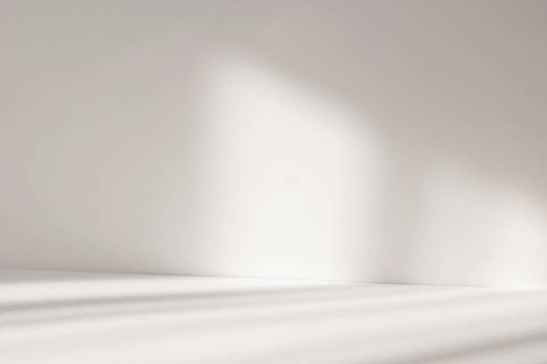 istock Abstract white studio background with shadows of window. Empty 3d room. Display product with blurred backdrop. 2220366611