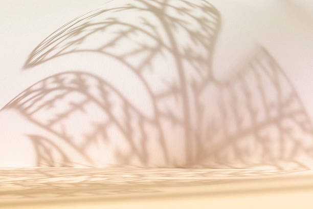 istock Abstract beige color gradient studio background for product presentation. Empty room with shadows of window and flowers and plant leaves . 3d ivory room with copy space. Blurred backdrop. 2220366637