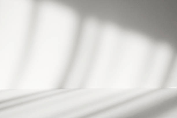 istock Abstract white studio background with shadows of window. Empty 3d room. Display product with blurred backdrop. 2220366694