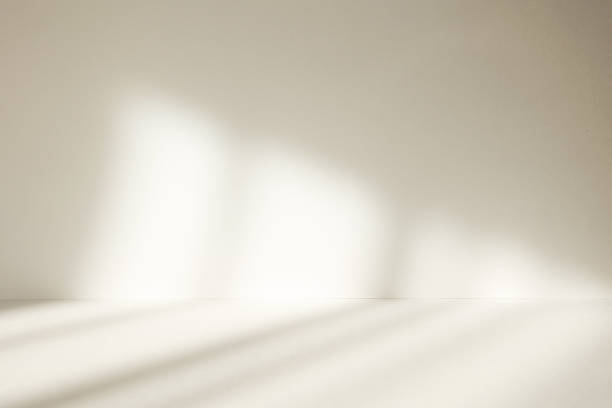 istock Abstract white studio background with shadows of window. Empty beige 3d room. Display product with blurred backdrop. 2220366707