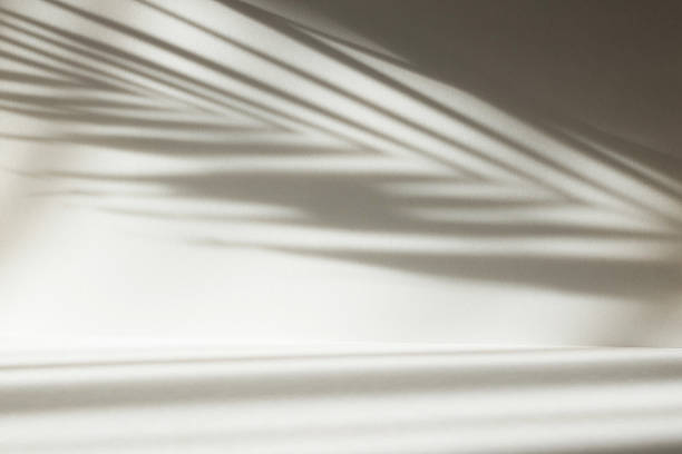 istock Abstract white color studio background for product presentation. Empty room with shadows of window and palm leaves . 3d grey room with copy space. Summer concept. Blurred backdrop. 2220366712