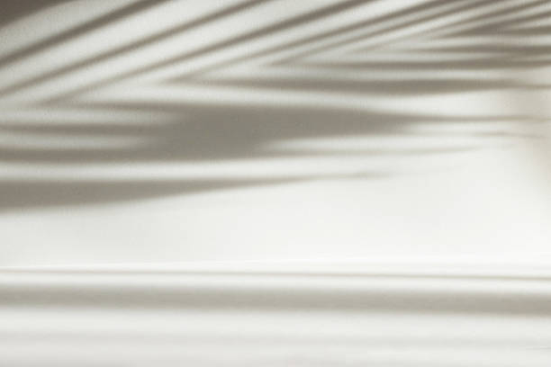 istock Abstract white color studio background for product presentation. Empty room with shadows of window and palm leaves . 3d grey room with copy space. Summer concept. Blurred backdrop. 2220366714