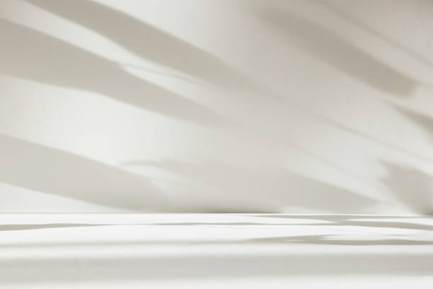 istock Abstract white color studio background for product presentation. Empty room with shadows of window and flowers and plant leaves . 3d grey room with copy space. Summer concept. Blurred backdrop. 2220367339