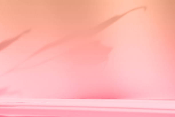 istock Abstract pink color gradient studio background for product presentation. Empty room with shadows of flowers and plant leaves. 3d orange room with copy space. Summer concept. Blurred backdrop 2220367344