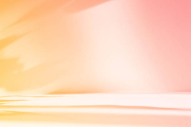 istock Abstract orange color gradient studio background for product presentation. Empty room with shadows of flowers and plant leaves. 3d pink room with copy space. Summer concept. Blurred backdrop 2220367345