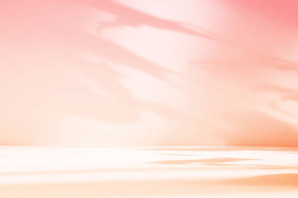 istock Abstract pink color gradient studio background for product presentation. Empty room with shadows of flowers and plant leaves. 3d orange room with copy space. Summer concept. Blurred backdrop 2220367358