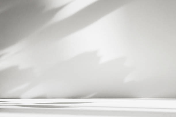 istock Abstract white color studio background for product presentation. Empty room with shadows of window and flowers and plant leaves . 3d grey room with copy space. Summer concept. Blurred backdrop. 2220367360