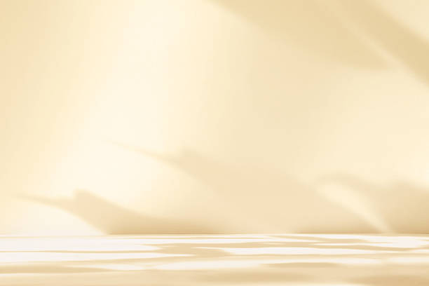 istock Abstract beige color gradient studio background for product presentation. Empty room with shadows of window and flowers and plant leaves . 3d ivory room with copy space. Blurred backdrop. 2220367364