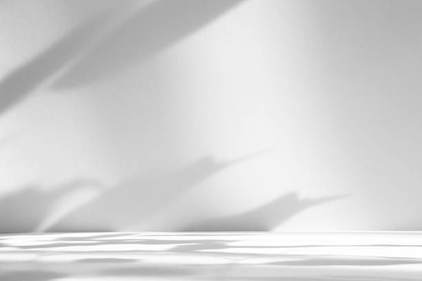 istock Abstract white color studio background for product presentation. Empty room with shadows of window and flowers and plant leaves . 3d grey room with copy space. Summer concept. Blurred backdrop. 2220367370