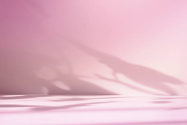 istock Abstract pink color gradient studio background for product presentation. Empty room with shadows of flowers and plant leaves. 3d orange room with copy space. Summer concept. Blurred backdrop 2220367392