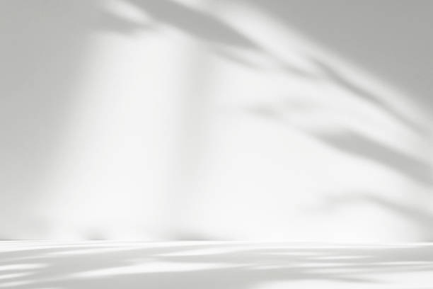 istock Abstract white color studio background for product presentation. Empty room with shadows of window and flowers and plant leaves . 3d grey room with copy space. Summer concept. Blurred backdrop. 2220367409