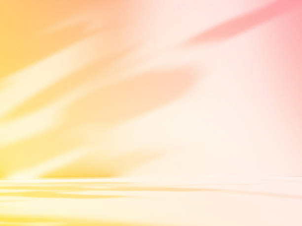 istock Abstract pink color gradient studio background for product presentation. Empty room with shadows of flowers and plant leaves. 3d orange room with copy space. Summer concept. Blurred backdrop 2220367411