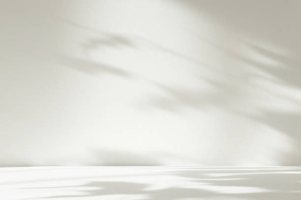 istock Abstract white color studio background for product presentation. Empty room with shadows of window and flowers and plant leaves . 3d grey room with copy space. Summer concept. Blurred backdrop. 2220367412