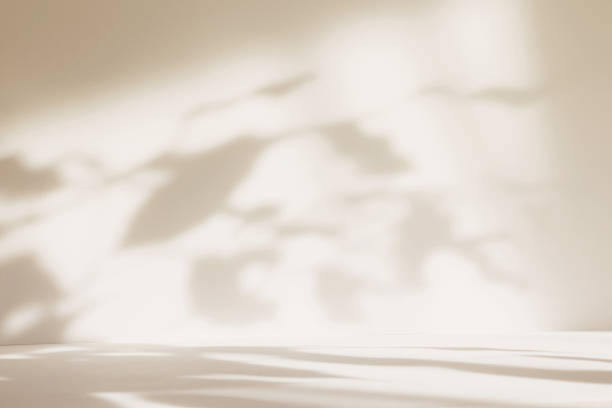 istock Abstract beige color gradient studio background for product presentation. Empty room with shadows of window and flowers and plant leaves . 3d ivory room with copy space. Blurred backdrop. 2220367413