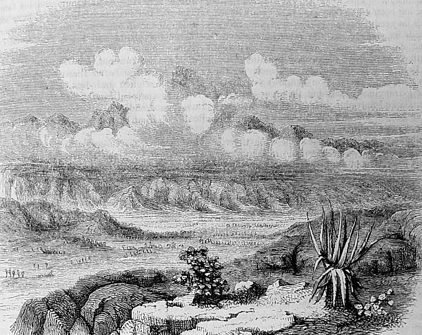Illustration from 19th century.