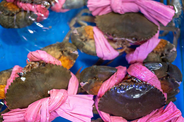 A beautiful arrangement of a bunch of crabs, elegantly wrapped in pink rope, displayed on a vibrant blue surface for visual appeal
