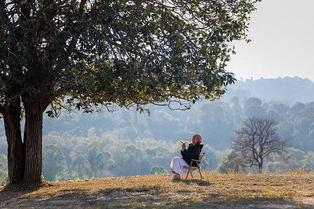 person relaxing under a large tree in a dry field, with morning sunlight streaming through the branches, creating beautiful sun rays. The background features a misty forest and mountain landscape, conveying peace and natural beauty.