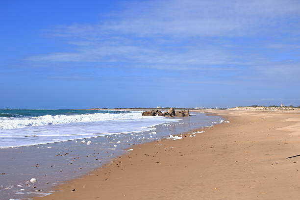 istock the beach in Cadiz, Andalucia in Spain 2220376120