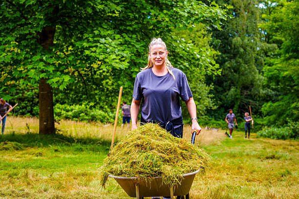 istock a communal effort towards maintaining or improving a natural space, fostering a sense of environmental stewardship and collaboration. 2220376218