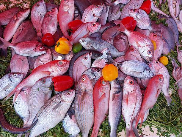Essaouira fish market, Morocco, variety of fish and other sea organisms