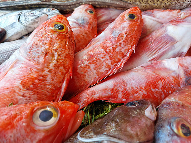 istock Essaouira fish market, Morocco 2220382148