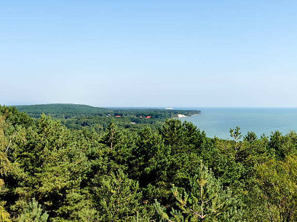 istock The Courish Split or Curonian Spit, Kaliningrad region, Russia 2220383813