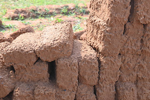 Raw clay bricks have soaked in water.Sun dried mud bricks, ruined by getting soaked in rain water. Bricks production.