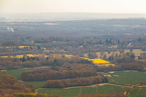 Gleaming yellow rapeseed fields viewed from Leith Hill in Dorking, Surrey, England