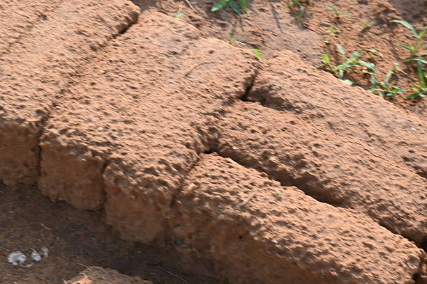 Raw clay bricks have soaked in water.Sun dried mud bricks, ruined by getting soaked in rain water. Bricks production.