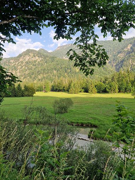 istock Lake Weitsee in Bavarian Alps 2220391027