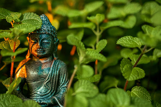 Close-up of a serene Buddha statue surrounded by green foliage, symbolizing tranquility, meditation, and spiritual harmony in nature.